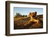 Lion Cub-Julian W.-Framed Photographic Print