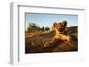 Lion Cub-Julian W.-Framed Photographic Print