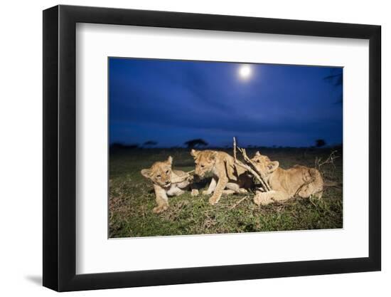 Premium Photographic Print, , large