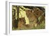 Lion Cubs in the Bush, Maasai Mara Wildlife Reserve, Kenya-Jagdeep Rajput-Framed Photographic Print