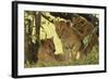 Lion Cubs in the Bush, Maasai Mara Wildlife Reserve, Kenya-Jagdeep Rajput-Framed Photographic Print