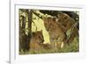 Lion Cubs in the Bush, Maasai Mara Wildlife Reserve, Kenya-Jagdeep Rajput-Framed Photographic Print