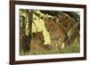 Lion Cubs in the Bush, Maasai Mara Wildlife Reserve, Kenya-Jagdeep Rajput-Framed Photographic Print