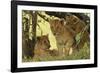 Lion Cubs in the Bush, Maasai Mara Wildlife Reserve, Kenya-Jagdeep Rajput-Framed Photographic Print