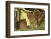 Lion Cubs in the Bush, Maasai Mara Wildlife Reserve, Kenya-Jagdeep Rajput-Framed Photographic Print