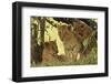 Lion Cubs in the Bush, Maasai Mara Wildlife Reserve, Kenya-Jagdeep Rajput-Framed Photographic Print