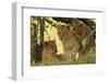 Lion Cubs in the Bush, Maasai Mara Wildlife Reserve, Kenya-Jagdeep Rajput-Framed Photographic Print