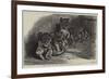 Lion Cubs in the Dublin Zoological Gardens-null-Framed Premium Giclee Print