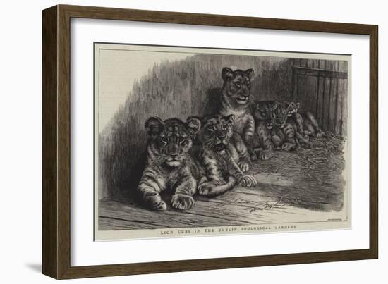 Lion Cubs in the Dublin Zoological Gardens-null-Framed Giclee Print