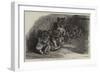 Lion Cubs in the Dublin Zoological Gardens-null-Framed Giclee Print