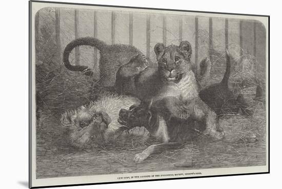 Lion Cubs, in the Gardens of the Zoological Society, Regent'S-Park-null-Mounted Giclee Print