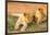 Lion cubs, Maasai Mara National Reserve, Kenya, East Africa-Laura Grier-Framed Photographic Print