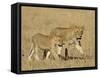 Lion Cubs, Masai Mara National Reserve, Kenya, East Africa, Africa-James Hager-Framed Stretched Canvas