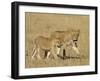 Lion Cubs, Masai Mara National Reserve, Kenya, East Africa, Africa-James Hager-Framed Photographic Print