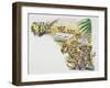Lion Cubs (Panthera Leo), Felidae, Drawing-null-Framed Giclee Print