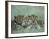 Lion Cubs Rest in Grass, Masai Mara Game Reserve, Kenya-Paul Souders-Framed Photographic Print
