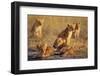 Lion Cubs Resting-Paul Souders-Framed Photographic Print