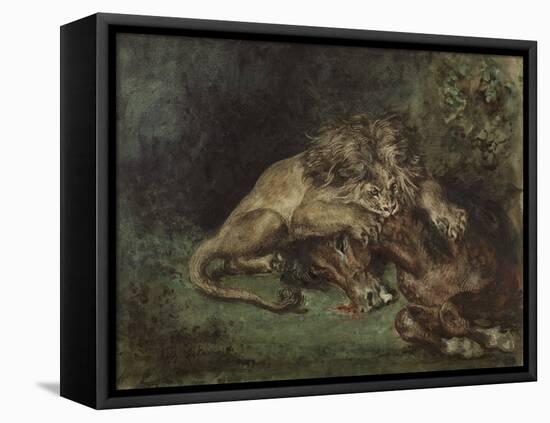 Lion Dévorant Un Cheval (Lion Devouring a Horse), C. 1844 (Watercolor, Bodycolor Oand Gum Arabic Wi-Ferdinand Victor Eugene Delacroix-Framed Stretched Canvas