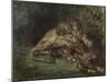 Lion Dévorant Un Cheval (Lion Devouring a Horse), C. 1844 (Watercolor, Bodycolor Oand Gum Arabic Wi-Ferdinand Victor Eugene Delacroix-Mounted Giclee Print