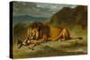 Lion Devouring a Goat, C.1850-Eugene Delacroix-Stretched Canvas