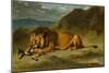 Lion Devouring a Goat, C.1850-Eugene Delacroix-Mounted Giclee Print