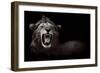 Lion Displaying Dangerous Teeth-Donvanstaden-Framed Art Print