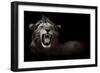 Lion Displaying Dangerous Teeth-Donvanstaden-Framed Art Print