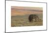 Lion Drinking, c.1897-Henry Ossawa Tanner-Mounted Premium Giclee Print