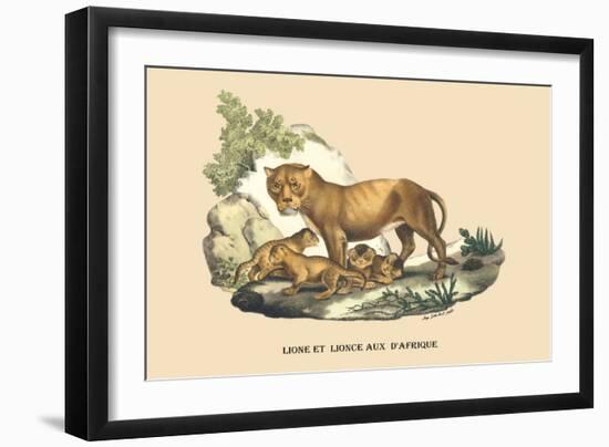 Lion et Lionne d'Afrique-E.f. Noel-Framed Art Print