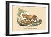 Lion et Lionne d'Afrique-E.f. Noel-Framed Art Print