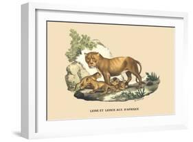 Lion et Lionne d'Afrique-E.f. Noel-Framed Art Print