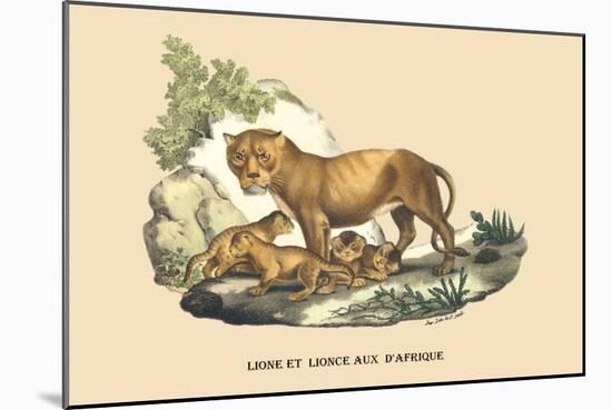 Lion et Lionne d'Afrique-E.f. Noel-Mounted Art Print