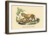 Lion et Lionne d'Afrique-E.f. Noel-Framed Art Print