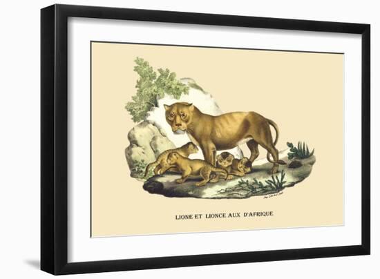 Lion et Lionne d'Afrique-E.f. Noel-Framed Art Print