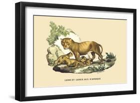 Lion et Lionne d'Afrique-E.f. Noel-Framed Art Print