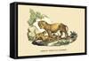 Lion et Lionne d'Afrique-E.f. Noel-Framed Stretched Canvas