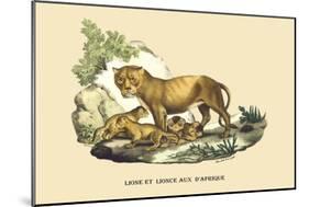 Lion et Lionne d'Afrique-E.f. Noel-Mounted Premium Giclee Print