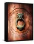 Lion Face Door Knocker in Florence-George Oze-Framed Stretched Canvas