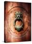 Lion Face Door Knocker in Florence-George Oze-Stretched Canvas