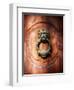 Lion Face Door Knocker in Florence-George Oze-Framed Photographic Print