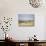 Lion Family Looking at a Herd of Zebras in a Field, Ngorongoro Crater, Ngorongoro, Tanzania-null-Photographic Print displayed on a wall