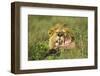 Lion Feeding on Wildebeest-null-Framed Photographic Print