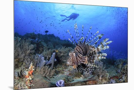 Lion Fish and Scuba Diver-Bernard Radvaner-Mounted Premium Photographic Print