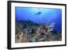 Lion Fish and Scuba Diver-Bernard Radvaner-Framed Photographic Print