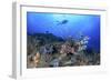 Lion Fish and Scuba Diver-Bernard Radvaner-Framed Photographic Print