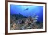 Lion Fish and Scuba Diver-Bernard Radvaner-Framed Photographic Print