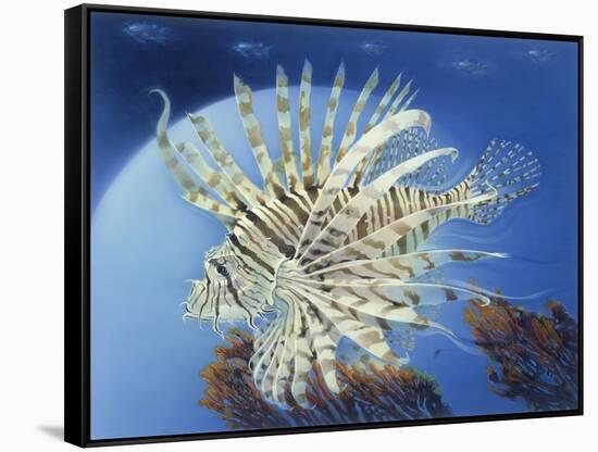 Lion Fish-Durwood Coffey-Framed Stretched Canvas