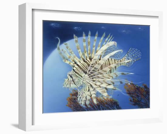 Lion Fish-Durwood Coffey-Framed Giclee Print