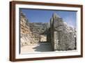 Brown Frame