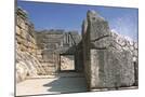 Wood Mount